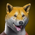 Shiba Inu Gang