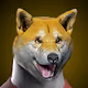 Shiba Inu Gang