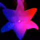 Sacred Voo