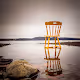 Yellow-Visitations 1
