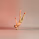TinyDancer