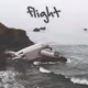 Flight: Editions