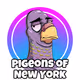 PIGEONS OF NEW YORK