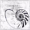Fibonacci Universal