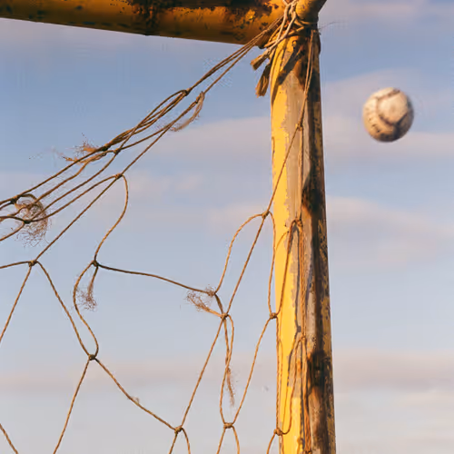 Cael Stavis Foundation Contract