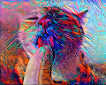 Horny pussy-cat