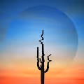 Desert Relic