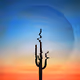 Desert Relic