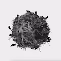 ETHER by On Thin Ice