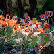 Tulips from another world
