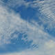 Aotearoa Skies