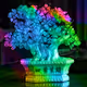money tree of good luck - old