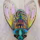 Chromatic Creatures