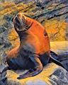 Sea Lionz