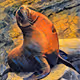 Sea Lionz
