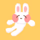 Little Rabbit Fluffy