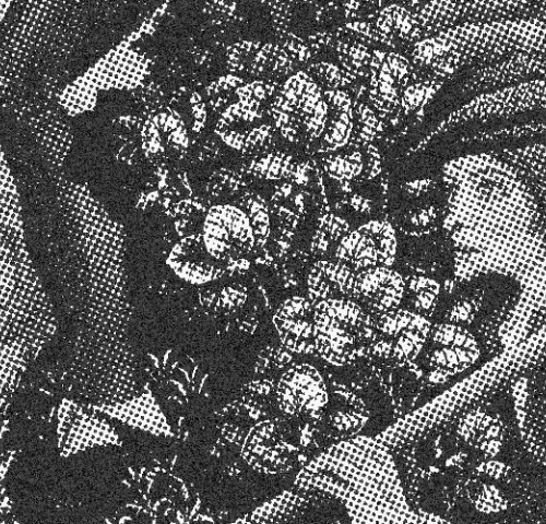 Uniswap V3  Positions  NFT