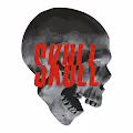 Skull by DRE - old