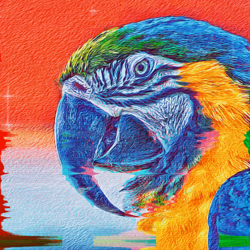 Playing with Photography