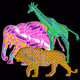4444animal