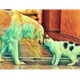 Animalworld01