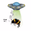 Beekeepers Club