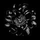 PEONY - FLEURVM - Open edition dec '22