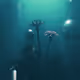 Lonely Diver