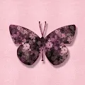 Fractal Wings