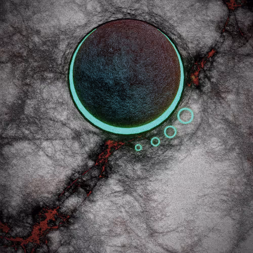 ~Ecliptic Bloodline~