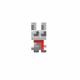 tiny rabbit
