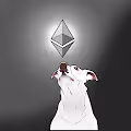 Crypt_Pitts