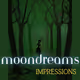 MoonDreams - Impressions