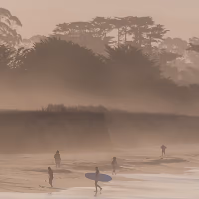 Fantastic Fog by Burnish