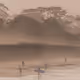 Fantastic Fog by Burnish