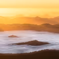 Golden Australian Landscape