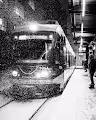 Shades of Black | A Collection of Black and White Photography | Alex Spence - old