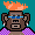 ChimpanzeePunk