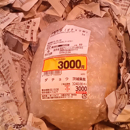 Luggage Storage   by Kuragecchi