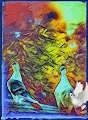 Crypto Pigeons Collection