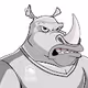 Raging Rhino Customs