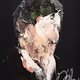 UNTITLED Portrait works NFT collection!!