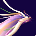 Ryujin - Ethereum