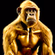 Golden-Apes-