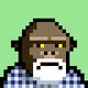 8-bit-apes