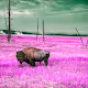 Hypercolor Bisons
