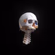 SKULLZZZZ