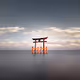 Love Letters From Japan