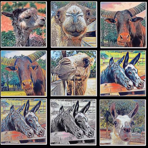 Friendly Animals Rockin' Together