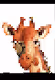 #CryptoCyberAnimals#